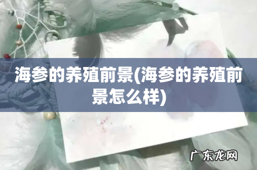 海参的养殖前景怎么样 海参的养殖前景