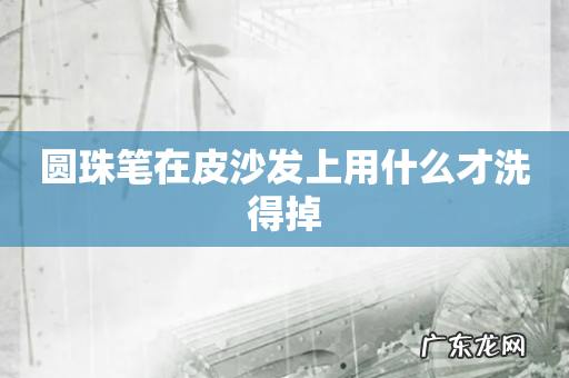 圆珠笔在皮沙发上用什么才洗得掉