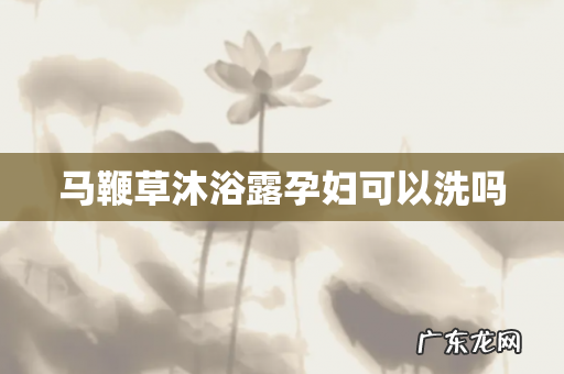 马鞭草沐浴露孕妇可以洗吗