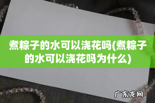 煮粽子的水可以浇花吗为什么 煮粽子的水可以浇花吗
