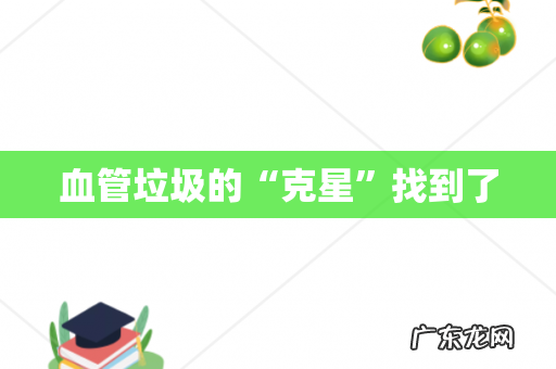 血管垃圾的“克星”找到了