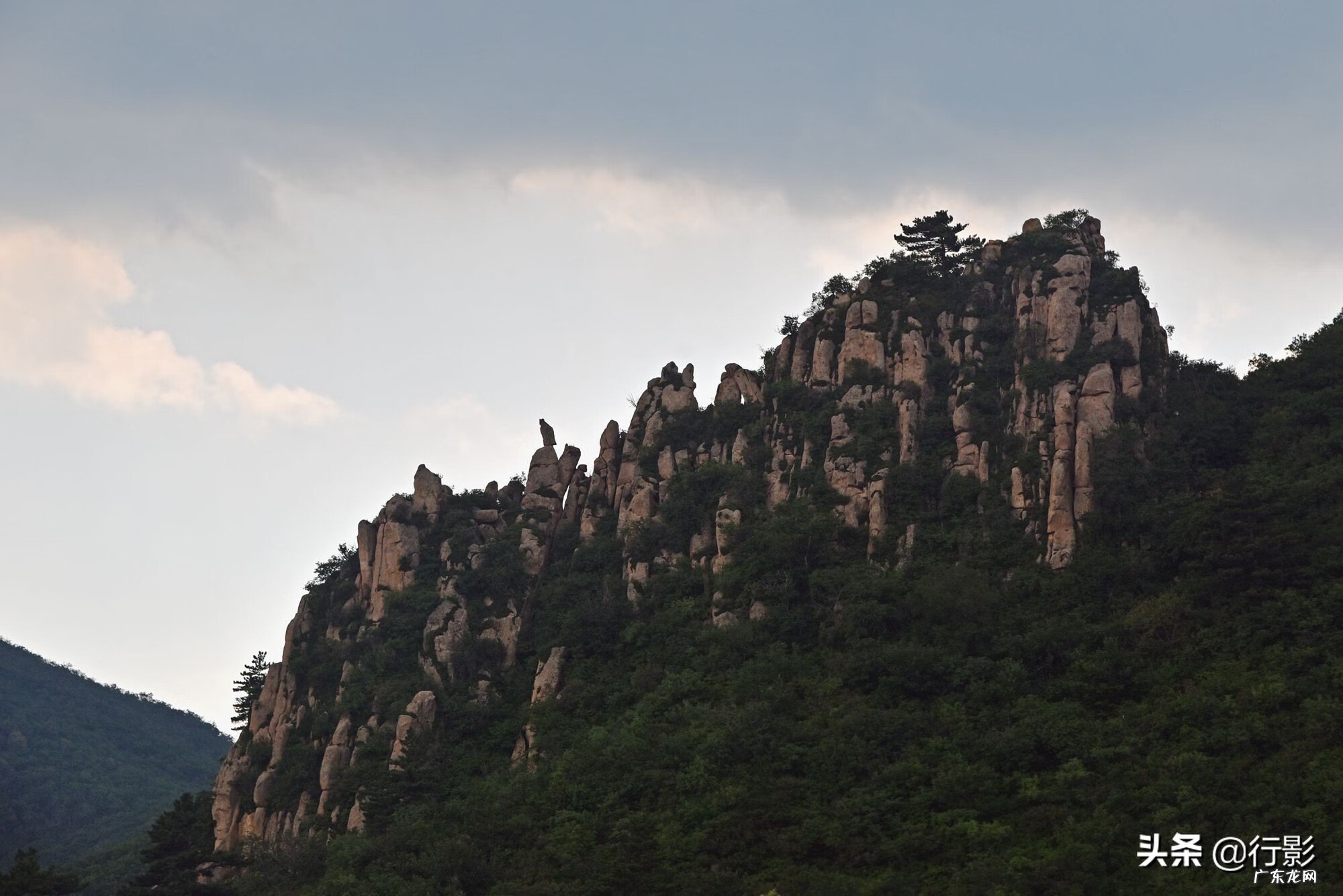 北露脊海豚 风水石龙露脊