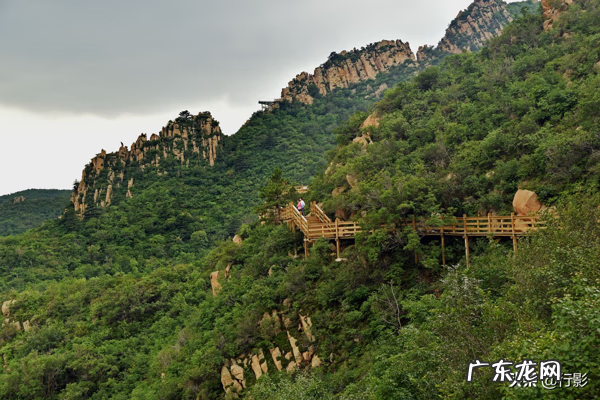 北露脊海豚 风水石龙露脊