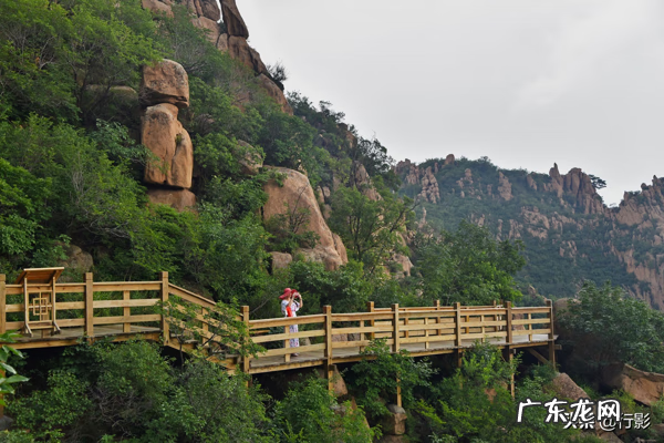 北露脊海豚 风水石龙露脊