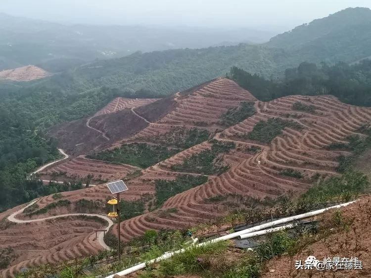全球风水协会 藤县风水师