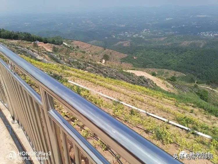 全球风水协会 藤县风水师