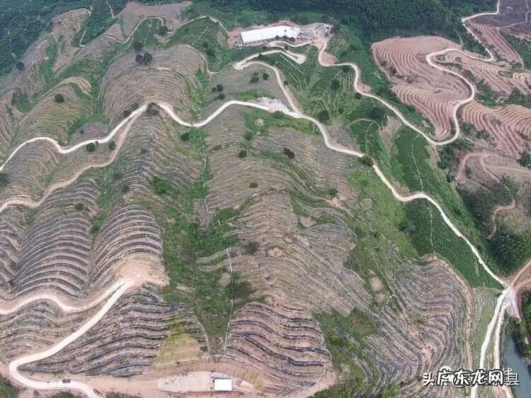 全球风水协会 藤县风水师