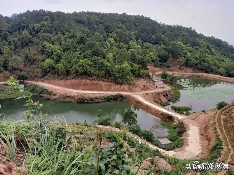 全球风水协会 藤县风水师