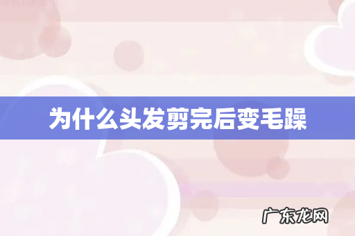 为什么头发剪完后变毛躁