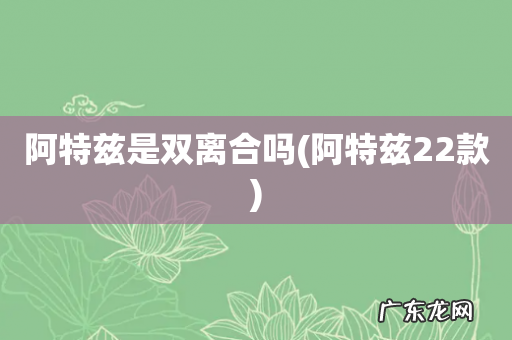 阿特兹22款 阿特兹是双离合吗