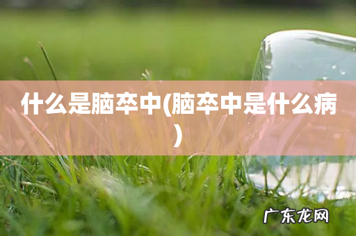 脑卒中是什么病 什么是脑卒中