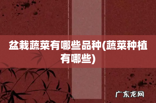 蔬菜种植有哪些 盆栽蔬菜有哪些品种