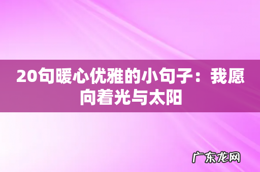20句暖心优雅的小句子:我愿向着光与太阳