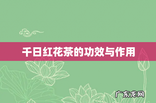千日红花茶的功效与作用