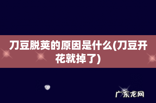 刀豆开花就掉了 刀豆脱荚的原因是什么