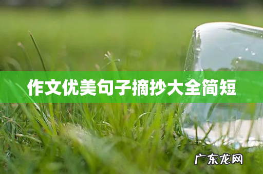 作文优美句子摘抄大全简短