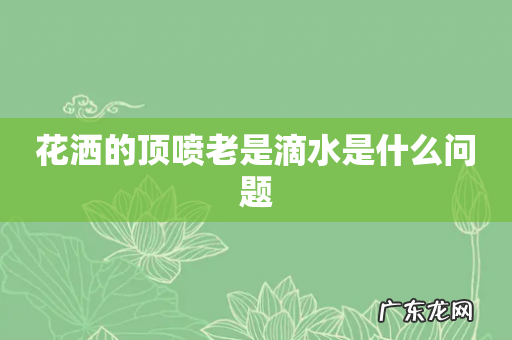 花洒的顶喷老是滴水是什么问题