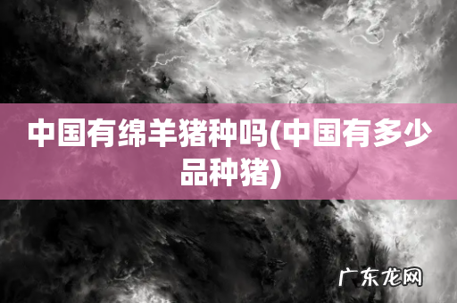 中国有多少品种猪 中国有绵羊猪种吗