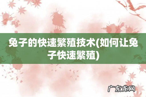 如何让兔子快速繁殖 兔子的快速繁殖技术