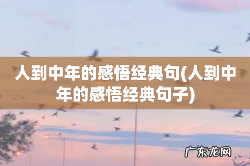 人到中年的感悟经典句子 人到中年的感悟经典句