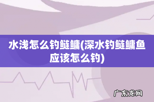 深水钓鲢鳙鱼应该怎么钓 水浅怎么钓鲢鳙