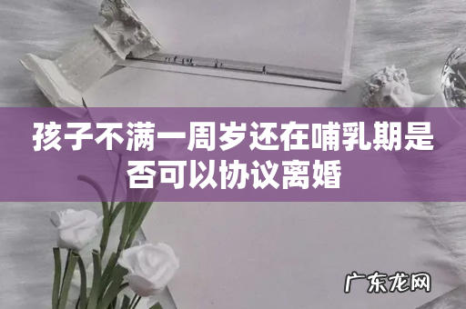 孩子不满一周岁还在哺乳期是否可以协议离婚