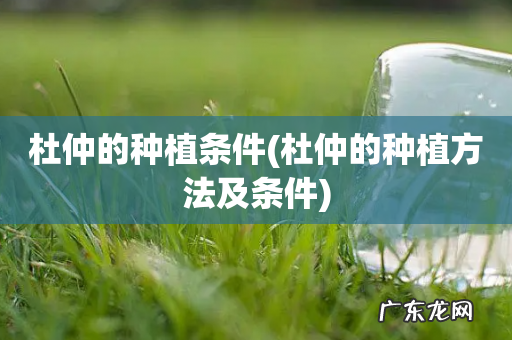 杜仲的种植方法及条件 杜仲的种植条件