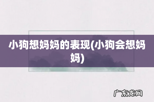 小狗会想妈妈 小狗想妈妈的表现