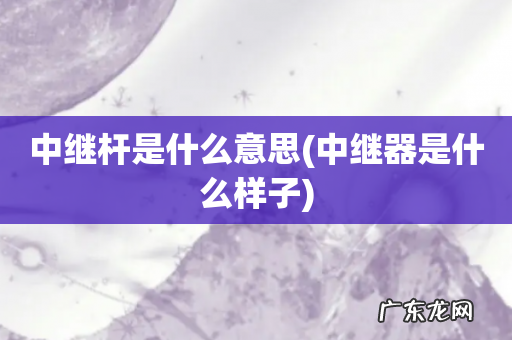 中继器是什么样子 中继杆是什么意思