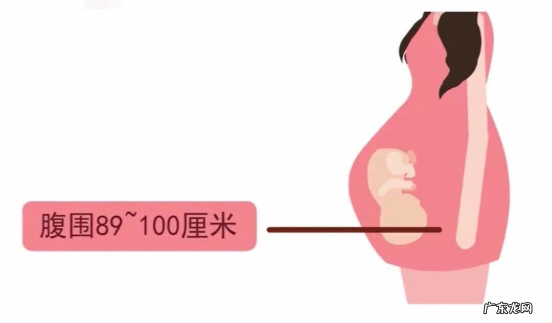 孕6个月肚子多大标准图 怀孕6个月的肚子多大