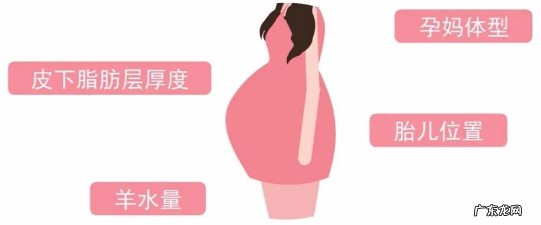 孕6个月肚子多大标准图 怀孕6个月的肚子多大