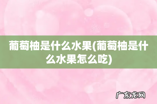 葡萄柚是什么水果怎么吃 葡萄柚是什么水果