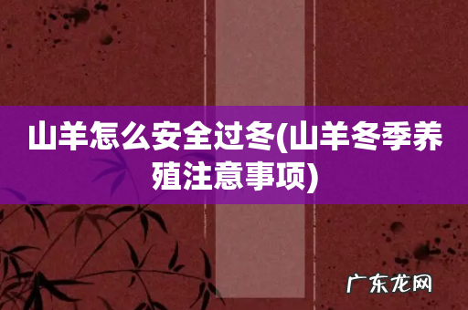 山羊冬季养殖注意事项 山羊怎么安全过冬
