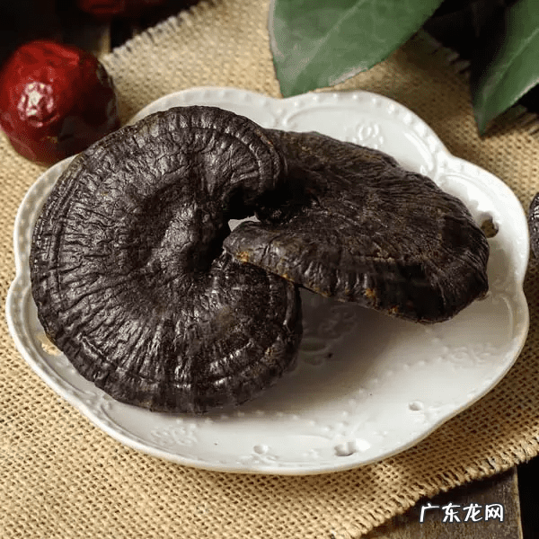 孕妇可以吃灵芝么 孕妇能否吃灵芝