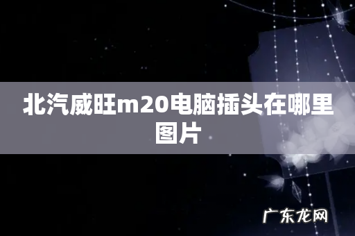 北汽威旺m20电脑插头在哪里图片