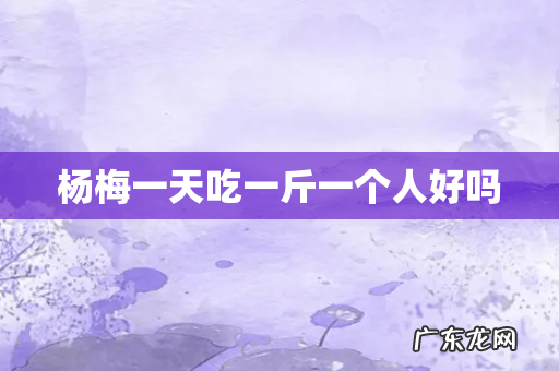杨梅一天吃一斤一个人好吗