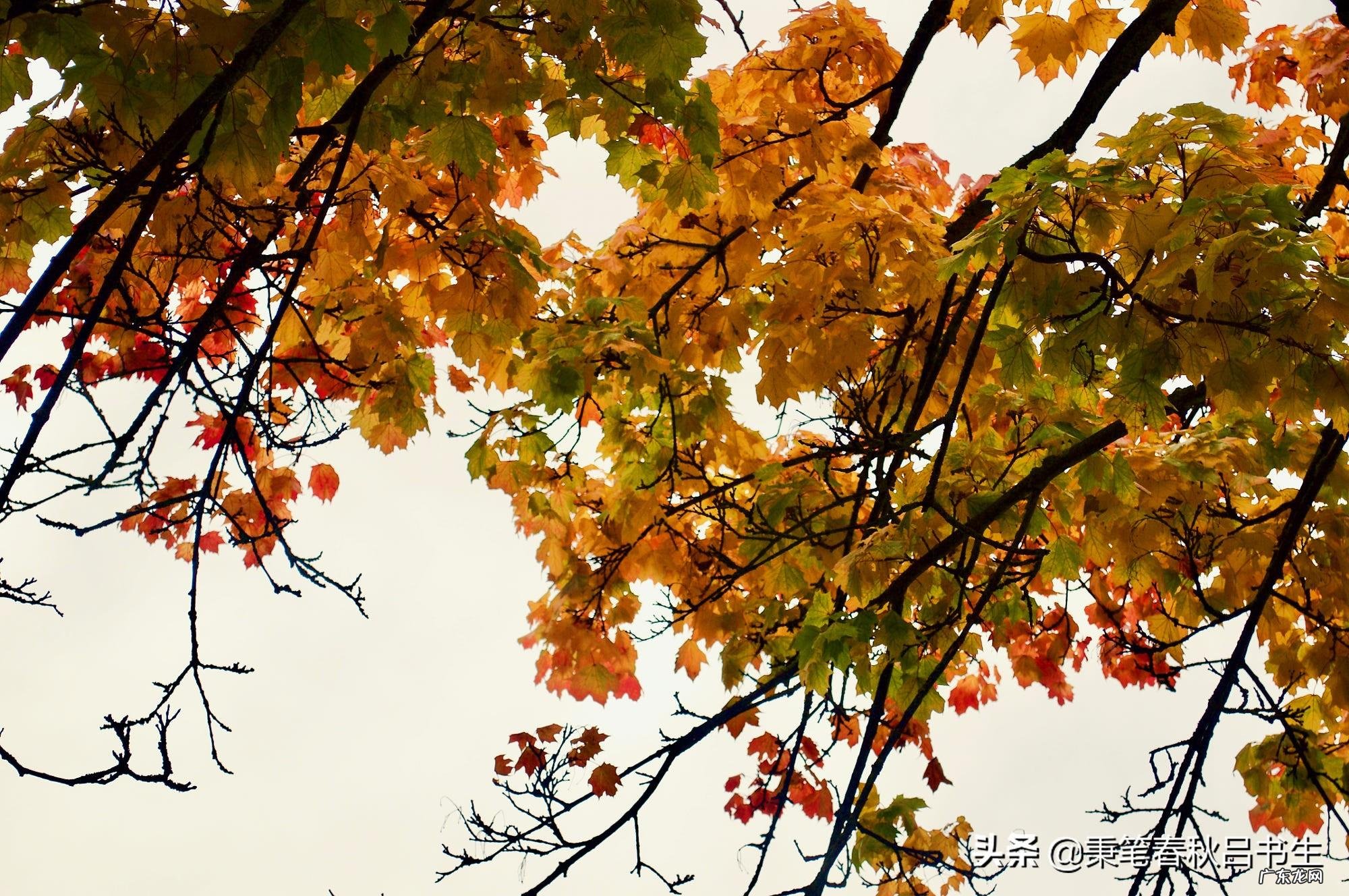 三国陶谦扮演者 三国陶谦之子