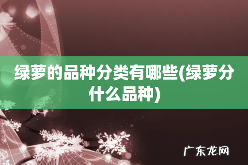 绿萝分什么品种 绿萝的品种分类有哪些