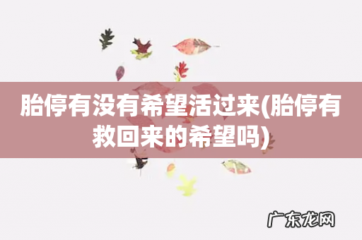 胎停有救回来的希望吗 胎停有没有希望活过来