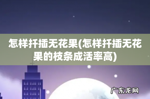 怎样扦插无花果的枝条成活率高 怎样扦插无花果