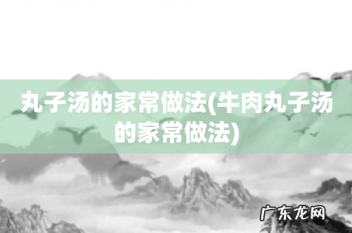 牛肉丸子汤的家常做法 丸子汤的家常做法