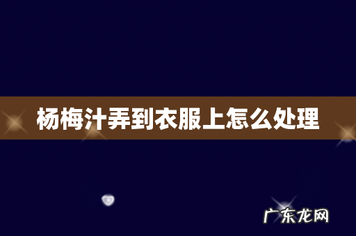 杨梅汁弄到衣服上怎么处理
