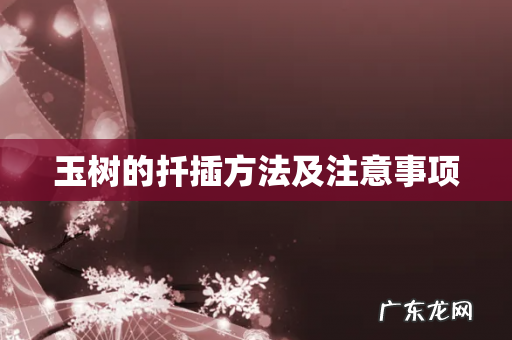 玉树的扦插方法及注意事项