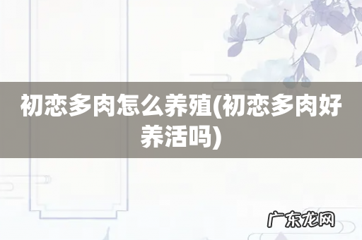 初恋多肉好养活吗 初恋多肉怎么养殖