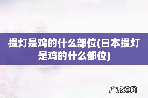 日本提灯是鸡的什么部位 提灯是鸡的什么部位