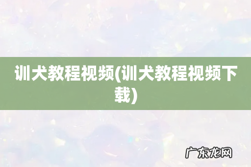 训犬教程视频下载 训犬教程视频