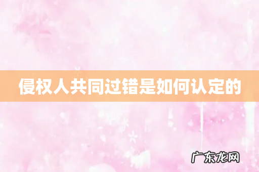 侵权人共同过错是如何认定的