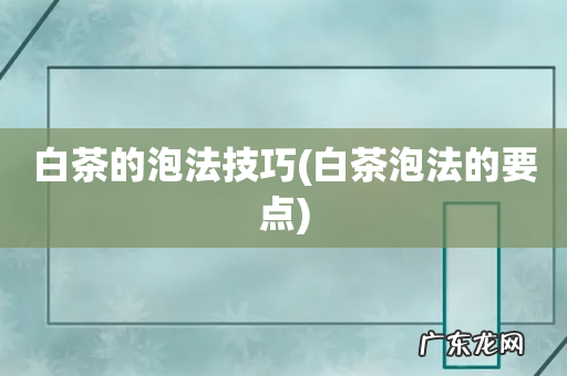 白茶泡法的要点 白茶的泡法技巧