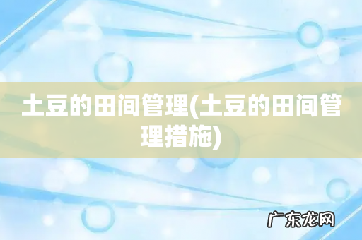 土豆的田间管理措施 土豆的田间管理