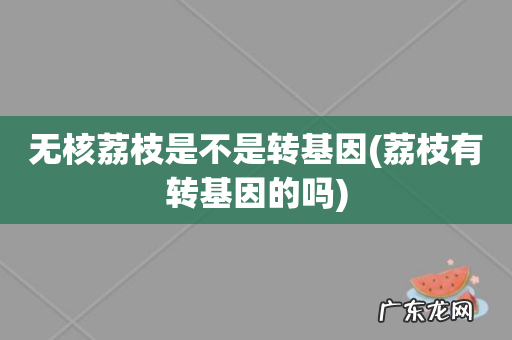 荔枝有转基因的吗 无核荔枝是不是转基因